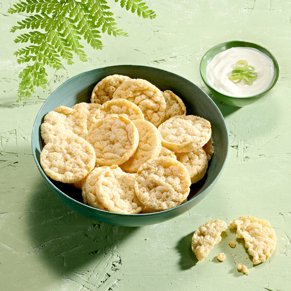 HERBALIFE Protein-Chips